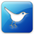 twitter icon