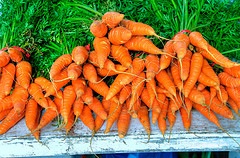 bunches of carrots